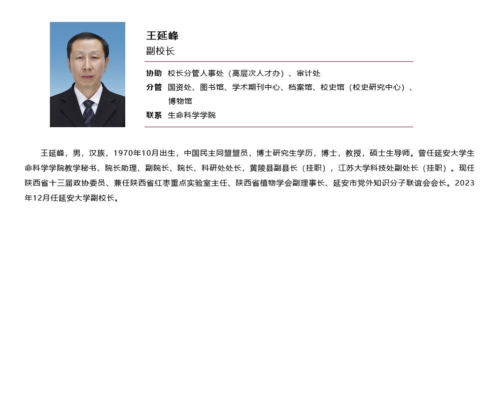 藏宝阁精选资料大全998
