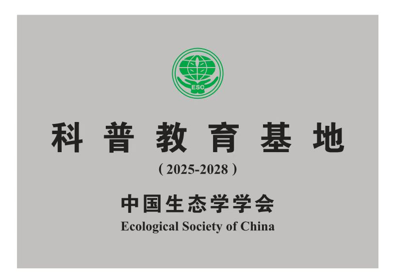 藏宝阁精选资料大全998