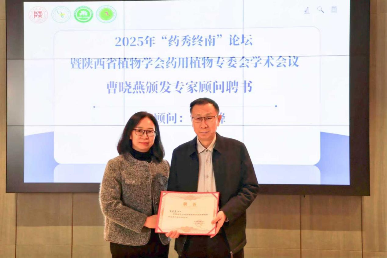 藏宝阁精选资料大全998